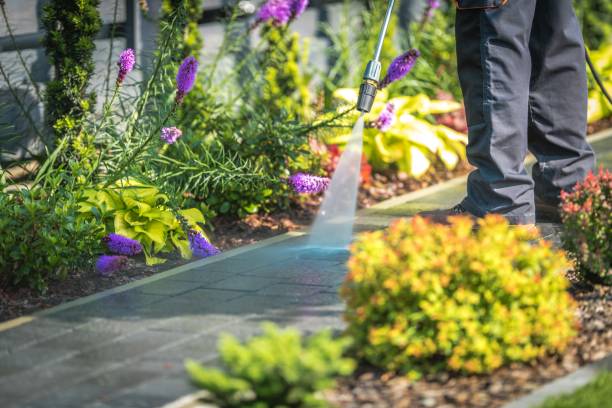 Best Roof Cleaning and Mildew Removal in Henderson, NC